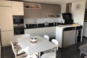 Penthouse flat South-facing terrace - Welkeys